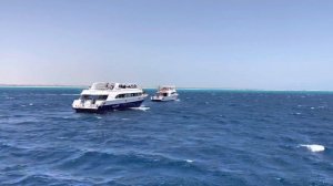 Морская прогулка Dolphin House Hurghada. Egypt. Red sea