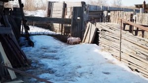 ДЕЛАЕМ РЕМОНТ У БАБУШКИ | НОВАЯ КУХНЯ | НАВЕСТИЛИ ДЕДУШКУ | ГОТОВИМ МАНТЫ