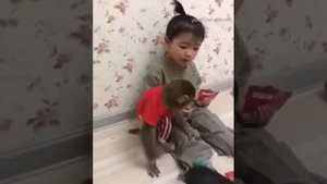 Голодная Обезьянка#