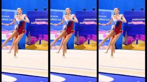 24 ЛУЧШИХ купальника 2024 года в художественной гимнастике