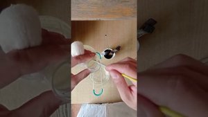 Приготовление препарата живых микроорганизмов