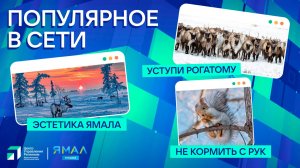 "Ямал-Медиа" продолжает обозревать главные тренды в интернете