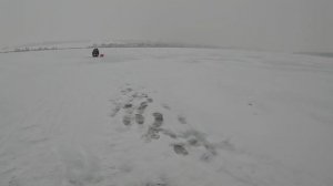 Зимняя рыбалка Пронское водохранилище Тульская область