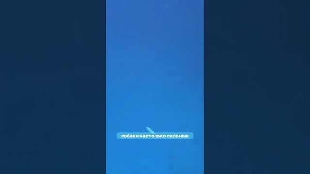 Первая добыча!