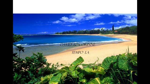 david et corine TEMPO LA.wmv смотреть онлайн