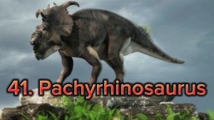 Dinosaur sound ( 恐龙的声音 )