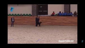 Казакова Ксения и малинуа Классик Аллерт Индира. Чемпионат Мира по мондьорингу 2018. 3 место.