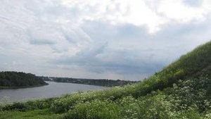 Видения на холме. Рубцов Николай Михайлович