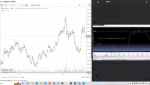 Обучение Крупный Игрок Forex КиТ