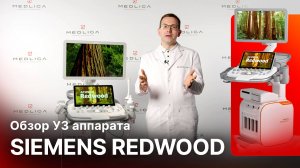 Обзор УЗИ аппарата Siemens Acuson Redwood