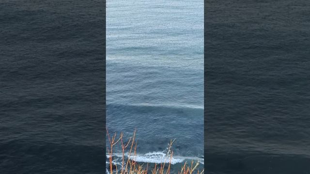Анапа 10.01.2025