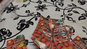 Семена | Тюльпан | Ремонт двери