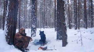В январе в лес с Жулей