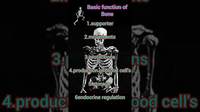 skeletal system || Function of bone||Bones||function of skeletal system ||#nursing #shorts