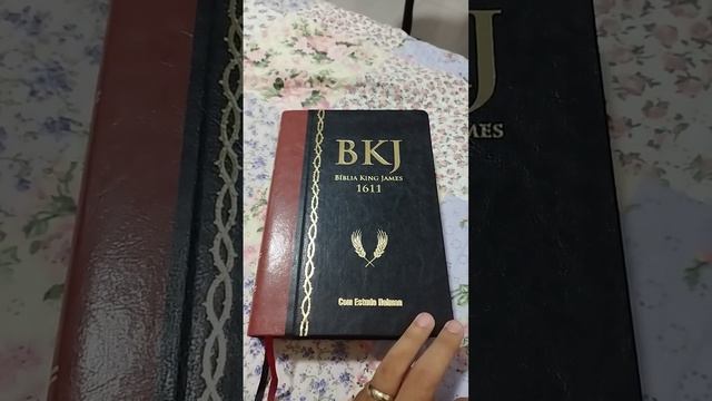 Review da BKJ - Bíblia King James 1611, com Estudo Holman (6a Edição) - Parte 01