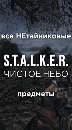 Все ПРЕДМЕТЫ в игре S.T.A.L.K.E.R.: ЧИСТОЕ НЕБО, Часть 27 • #shorts #stalker #clearsky #предметы