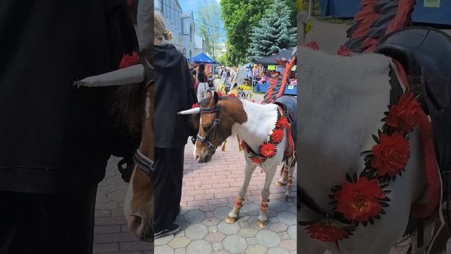 Симпатичный пони с крыльями ангела.🐴🪽🐴🪽🌸🪽🪽🪽🪽