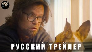 Трейлер: Гампи. Собачья жизнь 2024 (Русский дубляж) В кино с 13 февраля 2025