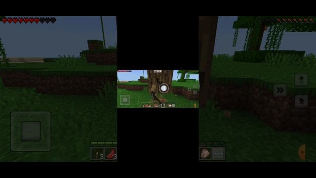 1000004453.mp4