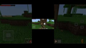 1000004453.mp4