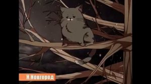 Engoykin -  Зато я спас кота .