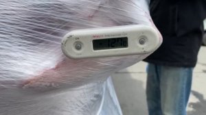 Саранск-Старая Купавна | реф не домораживает