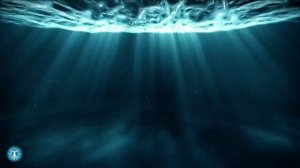 ⋆༺𓆩Д ᧐ ɸ ᥲ ʍ ᥙ н .   Э н д ᧐ ρ ɸ ᥙ н .   С ᥱ ρ ᧐ ᴛ ᧐ н ᥙ н𓆪༻⋆