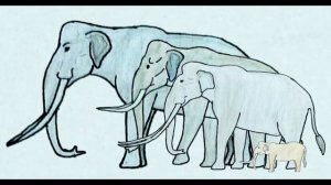 Palaeoloxodon Sound effects