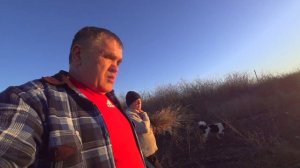 Жена в восторге. Прогуливаем стаю. Наши просторы