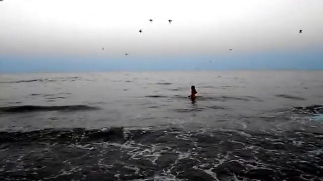 Купаться в вечернем море - это кайф! смотреть онлайн