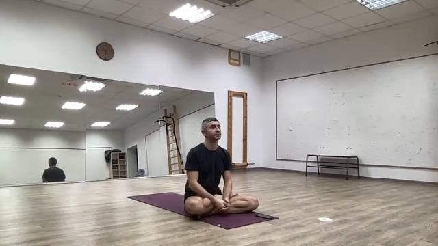 Беседа о йоге: ЭТАЛОННОЕ СОСТОЯНИЕ йога, ЭМОЦИОНАЛЬНОСТЬ vs тонкая ЧУВСТВИТЕЛЬНОСТЬ эмоции и чувства