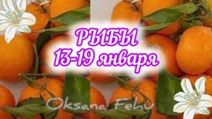 РЫБЫ. Неделя 13 - 19 января.