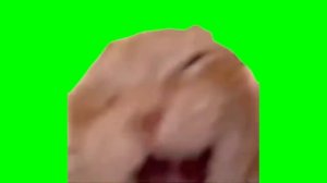 #кот ржёт на зелёном фоне мем #cat #memes #мемныекоты #memecat #мем #pov #пов #зеленыйфон #футаж