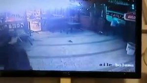 Кот напал на мужика с собакой, Турция. Боевой кот. A cat attacked a man with a dog, Turkey.  War ca