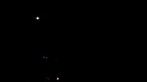 голос серой неясыти