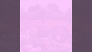 Аркадий Кобяков (Все  мечты)