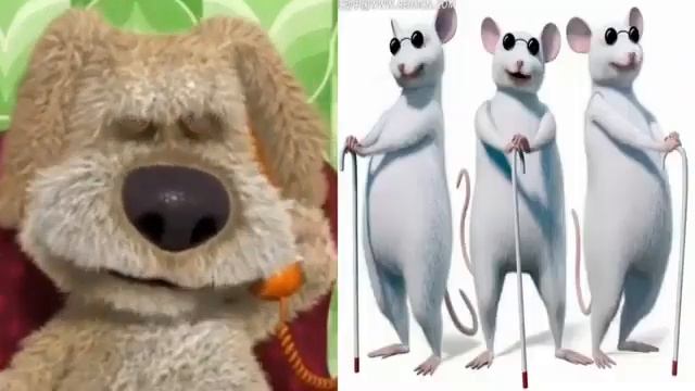 Бен оценивает мышей смотреть онлайн