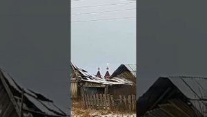 В Секретарке, селе на севере Оренбургской области, местные жители стали свидетелями чуда