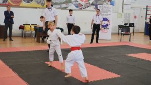 Каратэ шотокан. Кумитэ. Соревнования по всестилевому каратэ.