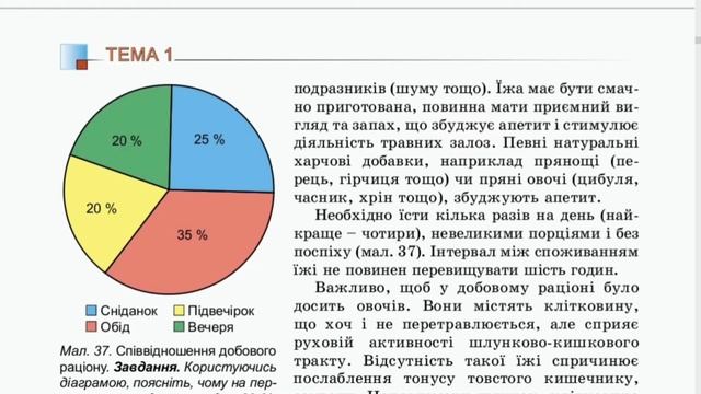 §7. Харчові та енергетичні потреби людини. Значення збалансованого харчування для збереження здоров
