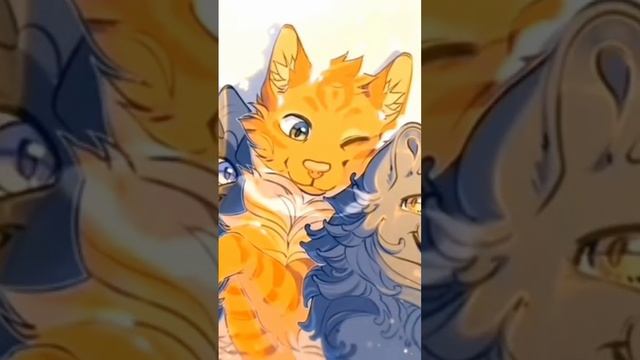Коты воители из пинтереста (видео НЕ моё!)#котывоители#пинтерест#рек?