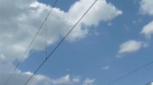 Полет буревестника...