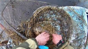 Весенняя рыбалка витилями