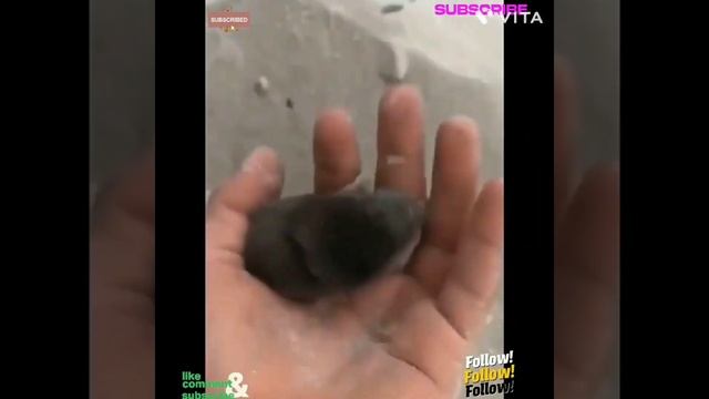 Oh My God ! Don't Touch Me Please - I Am Really Scared