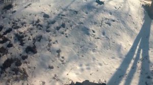 Yamaha Grizzly CFmoto 520 550 - "śladem kolejki wąskotorowej"