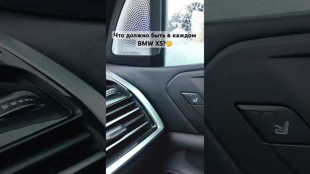 Что должно быть в каждом BMW X5?