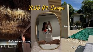 VLOG #1. ОБЗОР ВИЛЛЫ НА САМУИ. ПРОБУЕМ KHAO SOI. КАФЕ С КАПИБАРАМИ. ШОПИНГ.