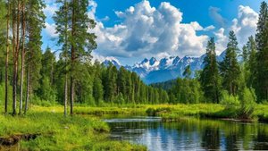 Тайны всего мира: природа России. Сезон 2, серия 3,