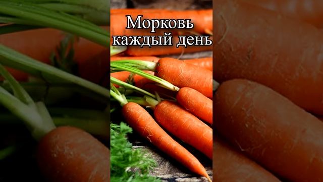 Можно ли есть сырую морковь каждый день? смотреть онлайн