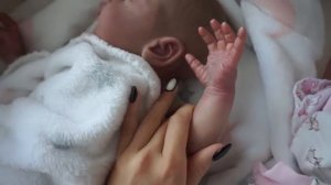 У МЕНЯ НОВЫЙ РЕБОРН ?! Я ПРОДАЛА ХЛОЮ ?